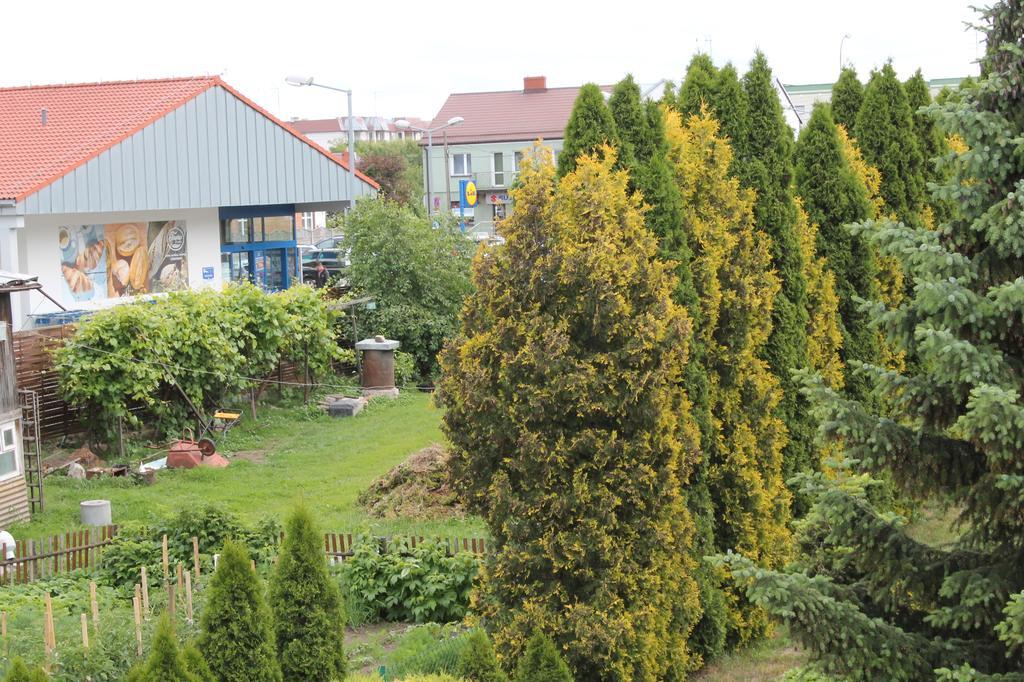 Apartament U Marzenki Augustów Exteriör bild